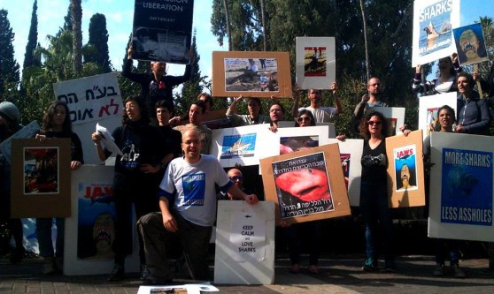 הפגנה נגד ציד כרישים בחדרה
