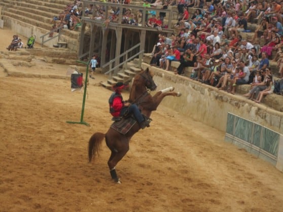 קיסריה פסח 2014. סוסים בהיפודרום (צילום: מאיה קדוש)