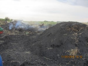 המפחמה בפעילות (צילום: המשרד להגנת הסביבה)