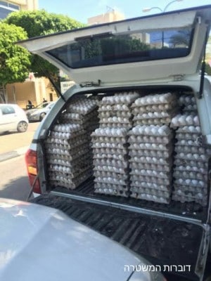 הביצים שהוחרמו (צילום: משטרת ישראל)