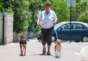 יהודית אלבז עם הכלבים חומי וליידי. צילום: דורון גולן