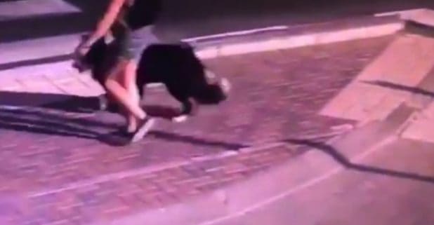 נהריה: שוטרים איתרו כלב שנשך ילד ביום כיפור והצילו את חייו מחיסון כלבת