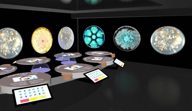 חיידקים ווירוסים מוזיאון רפואה חדרה צילום טכנודע
