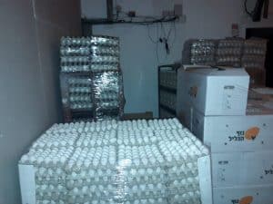 תפיסת ביצים במחסן נטוש בקרית אתא. צילום: משרד החקלאות