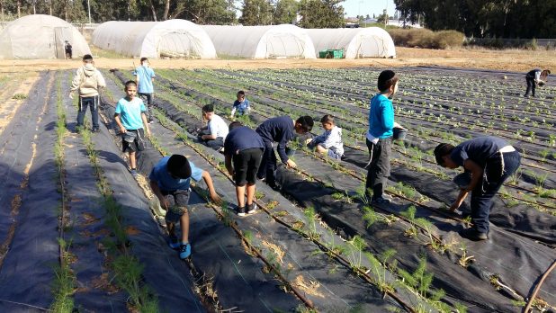 ילדים עובדים בגן ירק צילום עצמי