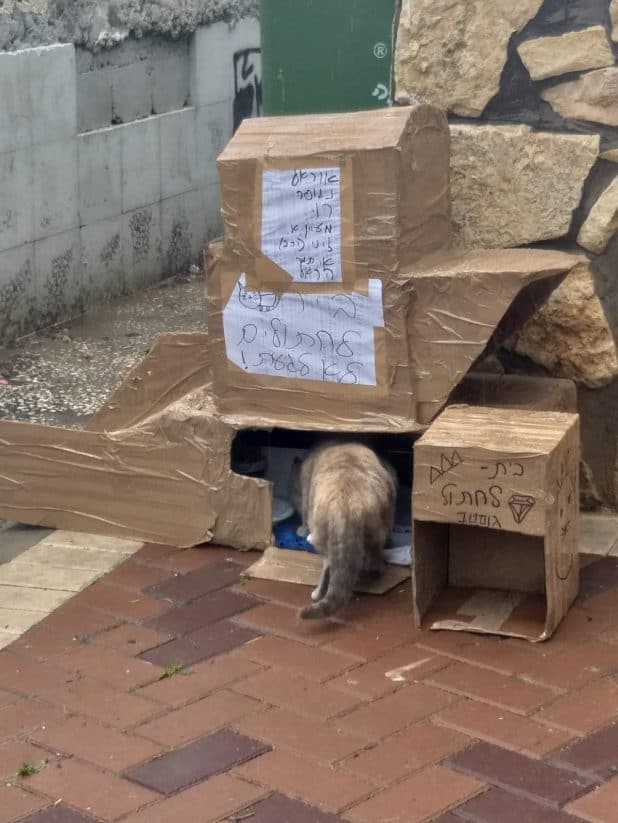 בית לחתול בקרית מוצקין. צילום: דוברות העירייה
