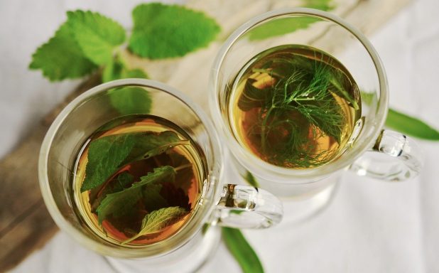 צמח התה תמונה מאתר pixabay
