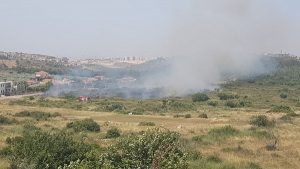 שריפה באזור ברטעה. צילום: כבאות והצלה מחוז חוף
