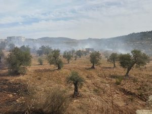 שריפה בכפר ג'וליס | צילום: כיבוי אש