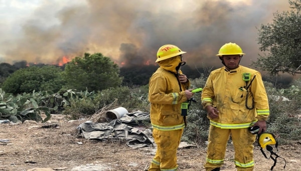 שריפה ביער עירון \ צילום: דוברות כבאות הצלה