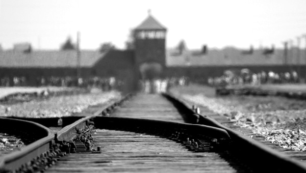 יום השואה הבינלאומי | pexels-pixabay