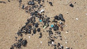 זיהום זפת בקו החוף | צילום: עיריית נהריה