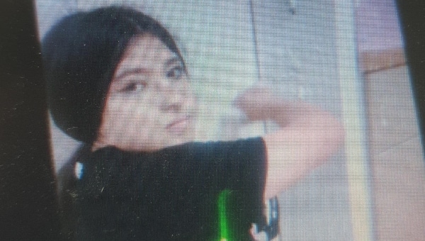 הנעדרת דניס גוסיינוב בת ה- 12 | צילום: דוברות המשטרה