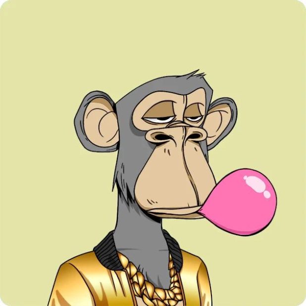 הקוף של עומר אדם | צילום מתוך הטוויטר