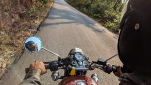 אופנוע בכביש | צילום: pexels