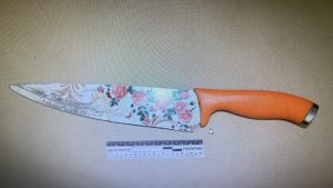 הסכין שנתפסה ברשותו של החשוד מקרית ים | צילום: דוברות המשטרה